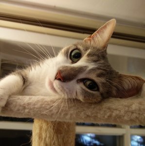 Fundraising Page: Keith Saroka